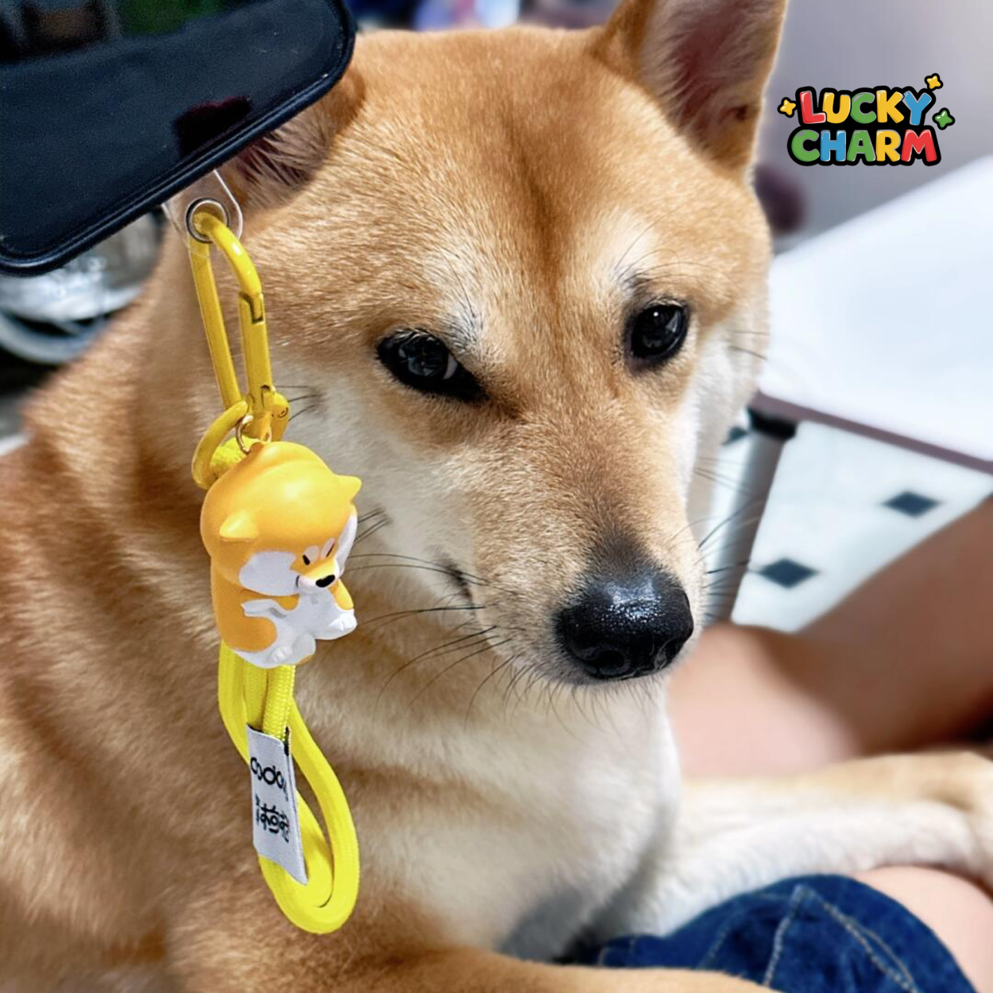 Blind Box Shiba Inu A Chai Goji's Puppy Crossing Series