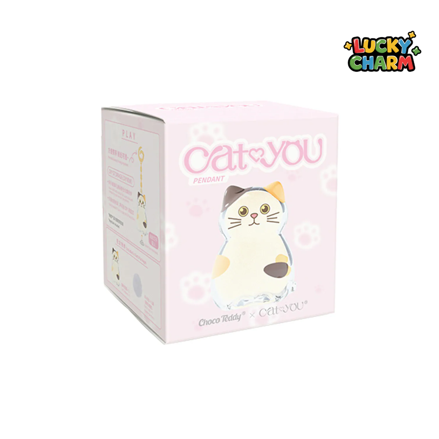 Blind Box Cat&You Pet Hair Collector Pendant Mini Series