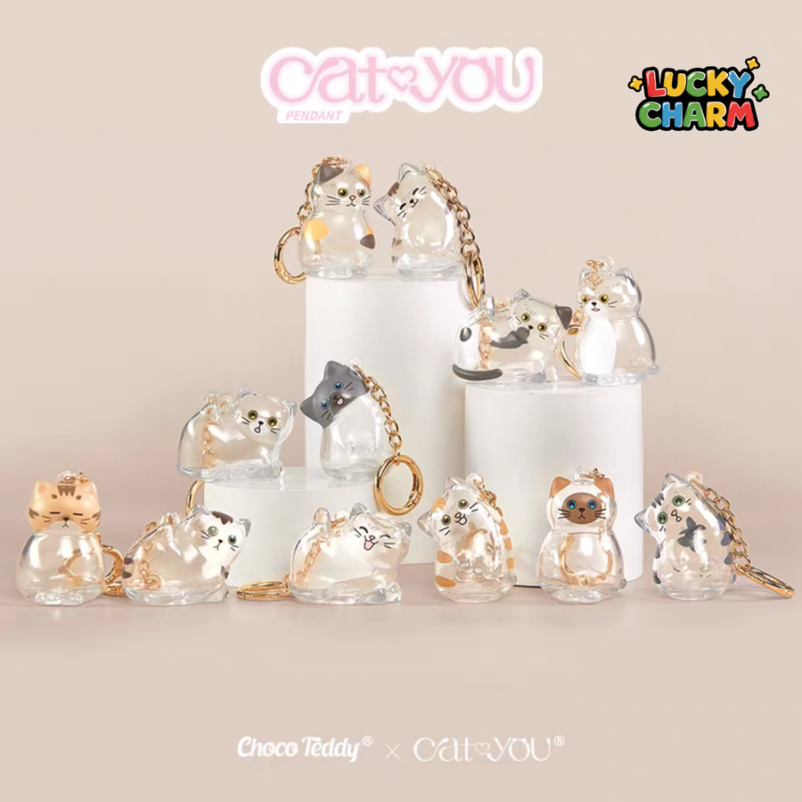 Blind Box Cat&You Pet Hair Collector Pendant Mini Series