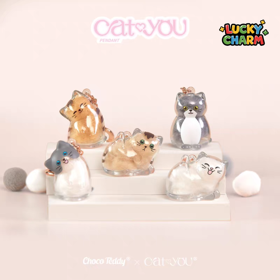 Blind Box Cat&You Pet Hair Collector Pendant Mini Series