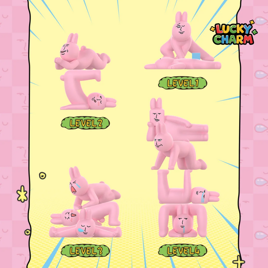 Blind Box My Friend Rabbit Yoga Series