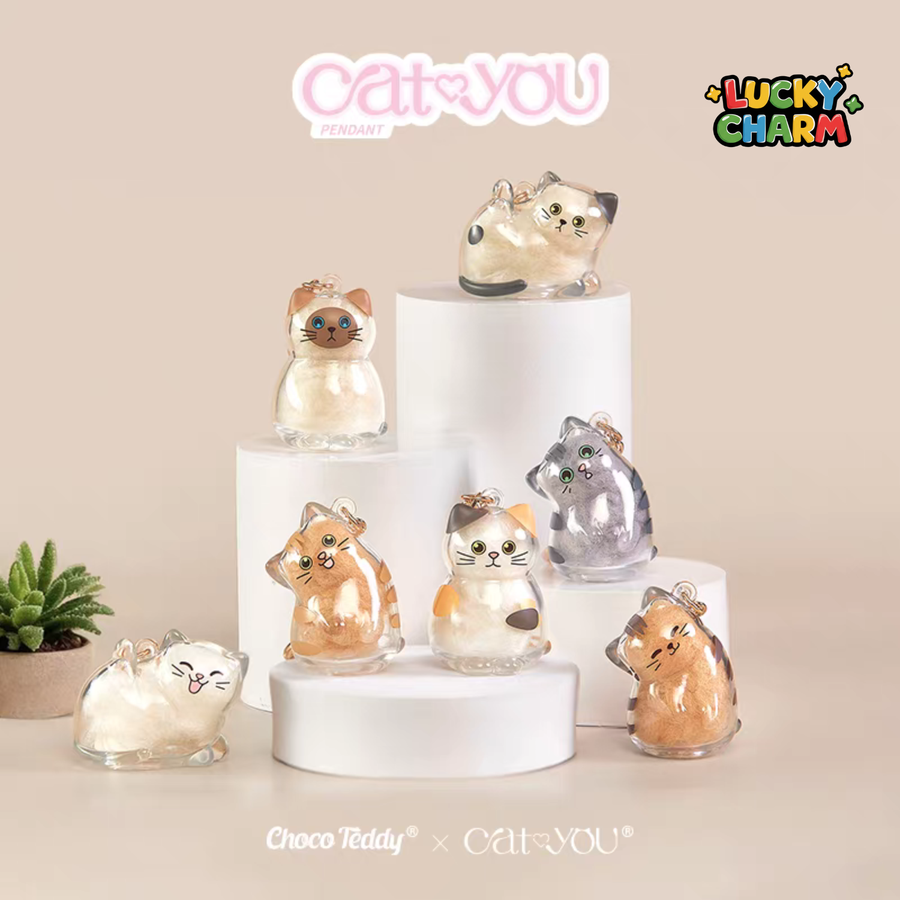 Blind Box Cat&You Pet Hair Collector Pendant Mini Series